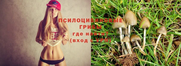mdpv Армянск