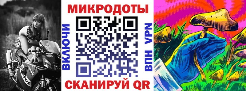 продажа наркотиков  ссылка на мегу tor  Псилоцибиновые грибы Magic Shrooms  Болохово 